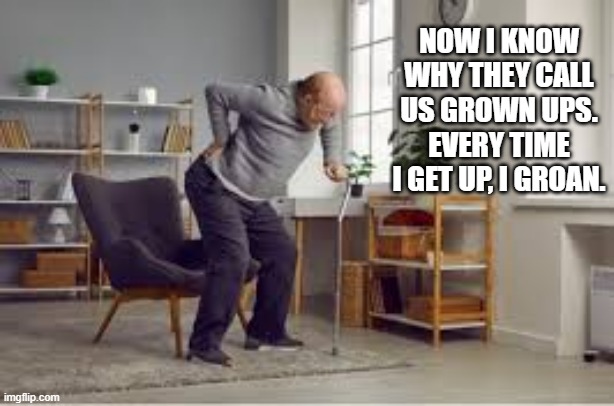 They call us grown ups because every time I try to get up I groan.   - funny - | NOW I KNOW WHY THEY CALL US GROWN UPS. EVERY TIME I GET UP, I GROAN. | image tagged in funny,adults,adult humor,humor,play on words | made w/ Imgflip meme maker