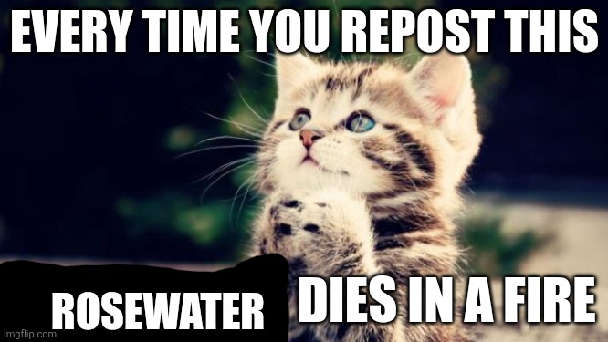 DO IT | ROSEWATER | image tagged in do it | made w/ Imgflip meme maker
