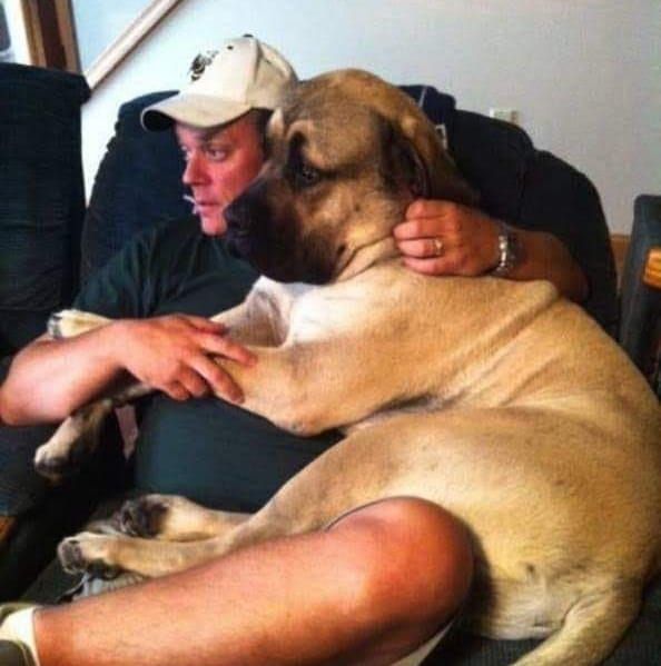 Chrisjoines1 Blank Meme Template