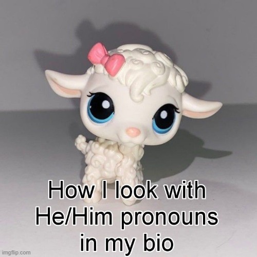 helo, back from colleg | made w/ Imgflip meme maker
