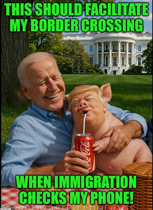 THIS SHOULD FACILITATE MY BORDER CROSSING; WHEN IMMIGRATION CHECKS MY PHONE! | made w/ Imgflip meme maker