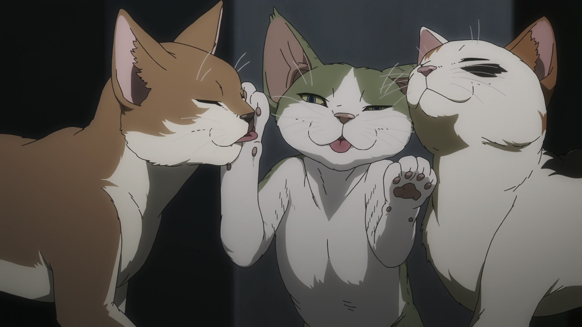 Anime cat Blank Meme Template