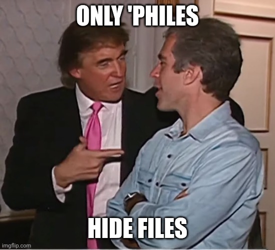 Release the files! | ONLY 'PHILES; HIDE FILES | image tagged in trump epstein party,donald trump,jeffrey epstein,pedophiles,maga | made w/ Imgflip meme maker