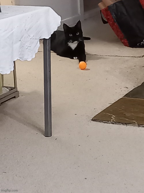 Ball =3 | made w/ Imgflip meme maker