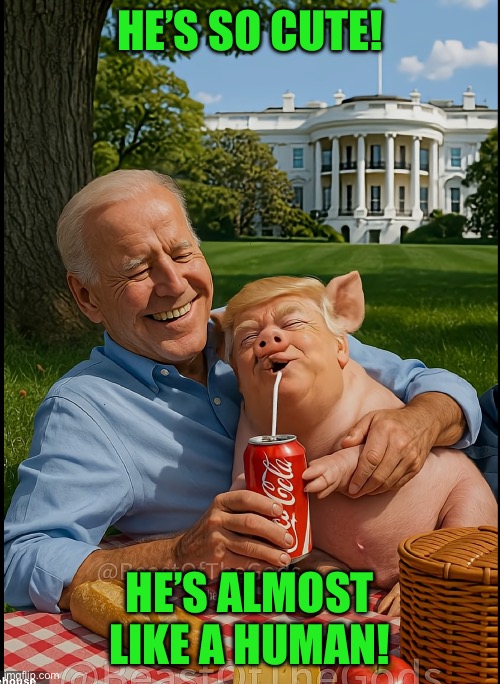 HE’S SO CUTE! HE’S ALMOST LIKE A HUMAN! | made w/ Imgflip meme maker