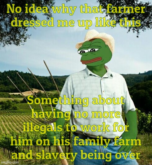 When the family farm became a family farm again | No idea why that farmer dressed me up like this; Something about having no more illegals to work for him on his family farm and slavery being over | image tagged in pepe farmer,small farm,family farm,no illegal aliens farm labor,no more slavery,farmers going to have to farm for themselves | made w/ Imgflip meme maker