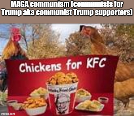 Communist Trump supporters = chickens for KFC | MAGA communism (communists for Trump aka communist Trump supporters) | image tagged in chickens for kfc,communism,trump supporters | made w/ Imgflip meme maker