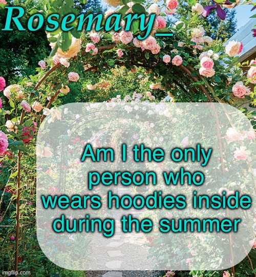 Am I crazy for this | Am I the only person who wears hoodies inside during the summer | image tagged in rosemary_ template | made w/ Imgflip meme maker