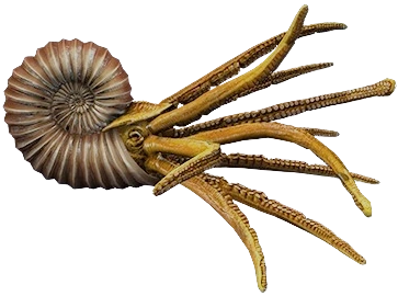 Ammonite (JWTG Design) Blank Meme Template