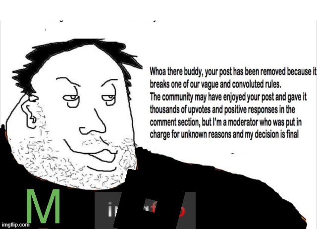 MSMG banning | image tagged in msmg banning | made w/ Imgflip meme maker