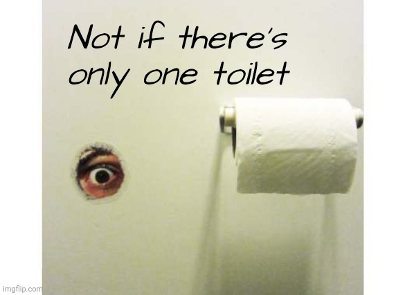 Bathroom Peeping Tom | Not if there's only one toilet | image tagged in bathroom peeping tom | made w/ Imgflip meme maker