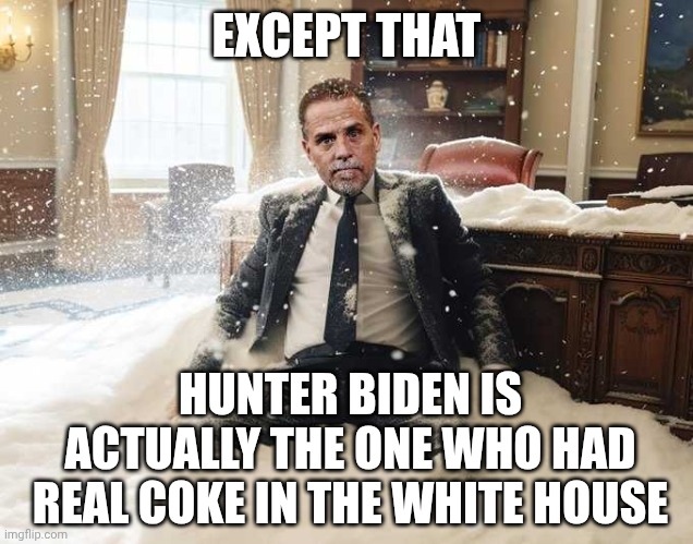 Hunter Biden | EXCEPT THAT HUNTER BIDEN IS ACTUALLY THE ONE WHO HAD REAL COKE IN THE WHITE HOUSE | image tagged in hunter biden | made w/ Imgflip meme maker