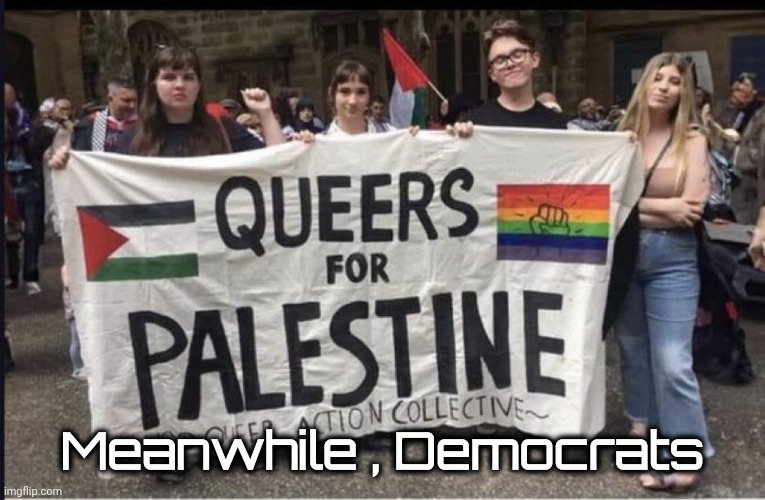 queers for Palestine | Meanwhile , Democrats | image tagged in queers for palestine | made w/ Imgflip meme maker