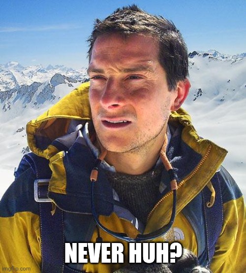 Bear Grylls Meme | NEVER HUH? | image tagged in memes,bear grylls | made w/ Imgflip meme maker