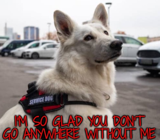 I'M SO GLAD YOU DON'T GO ANYWHERE WITHOUT ME | made w/ Imgflip meme maker