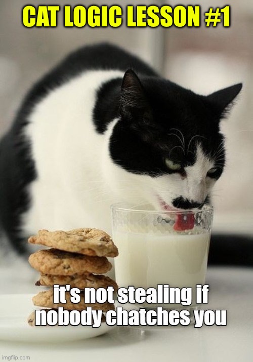 Cat Logic Lesson #1 | CAT LOGIC LESSON #1 | image tagged in cats,funny cat memes,cat logic,stealing,full of it,life lessons | made w/ Imgflip meme maker