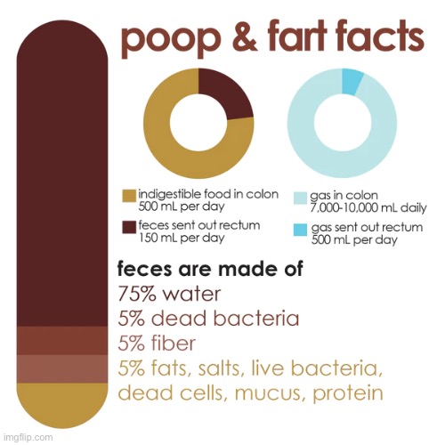Gross Facts | image tagged in gross,fun fact,poop,farts,charts,funny memes | made w/ Imgflip meme maker