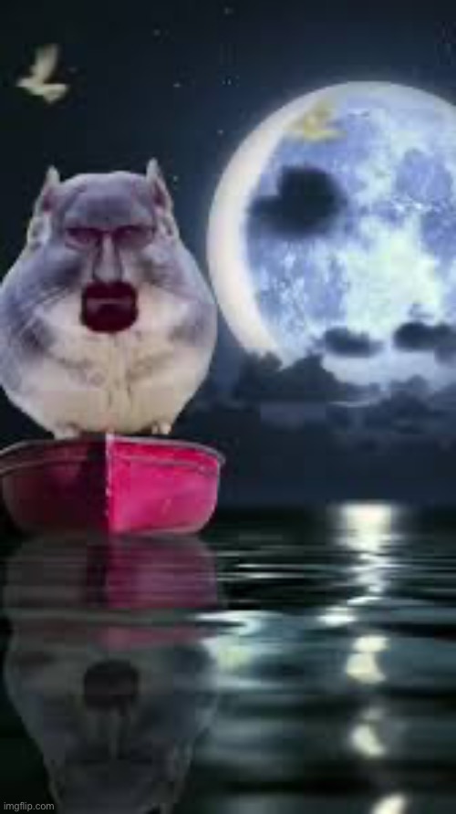 holy fuck i’m cumming | image tagged in holy fuck i m cumming | made w/ Imgflip meme maker