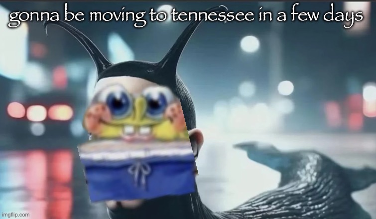 slugbob | gonna be moving to tennessee in a few days | image tagged in with toady ofc | made w/ Imgflip meme maker