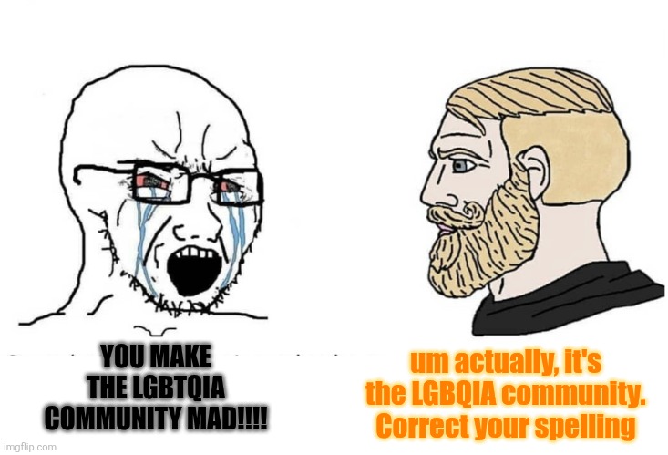 I would correct it this way idc | um actually, it's the LGBQIA community. Correct your spelling; YOU MAKE THE LGBTQIA COMMUNITY MAD!!!! | image tagged in soyboy vs yes chad | made w/ Imgflip meme maker