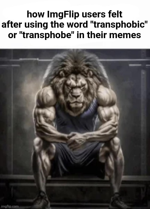 How vro felt | how ImgFlip users felt after using the word "transphobic" or "transphobe" in their memes | image tagged in how bro felt after saying that | made w/ Imgflip meme maker