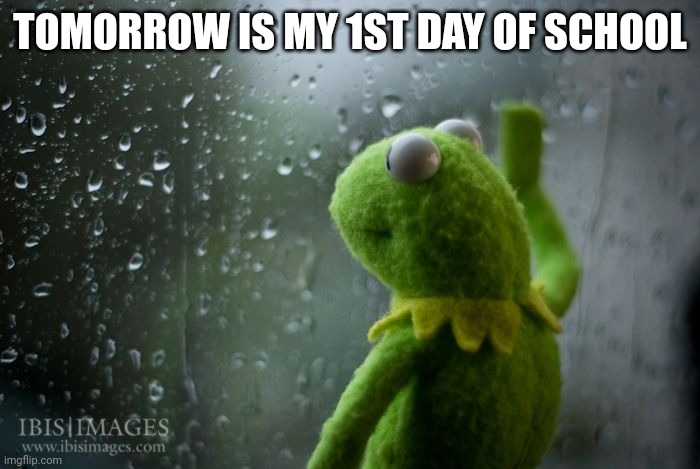 kermit window | TOMORROW IS MY 1ST DAY OF SCHOOL | image tagged in kermit window | made w/ Imgflip meme maker