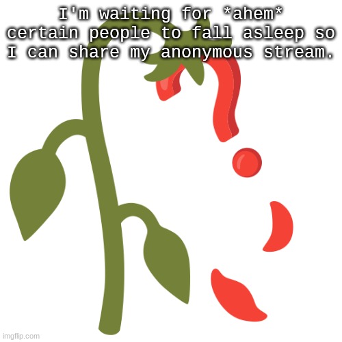 Wilting? | I'm waiting for *ahem* certain people to fall asleep so I can share my anonymous stream. | image tagged in wilting | made w/ Imgflip meme maker