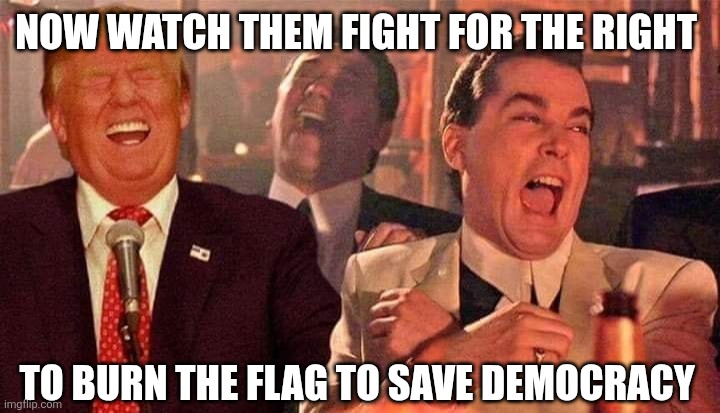 Trump makes it illegal to burn the US flag | NOW WATCH THEM FIGHT FOR THE RIGHT; TO BURN THE FLAG TO SAVE DEMOCRACY | image tagged in trump good fellas laughing,trump,master troll | made w/ Imgflip meme maker