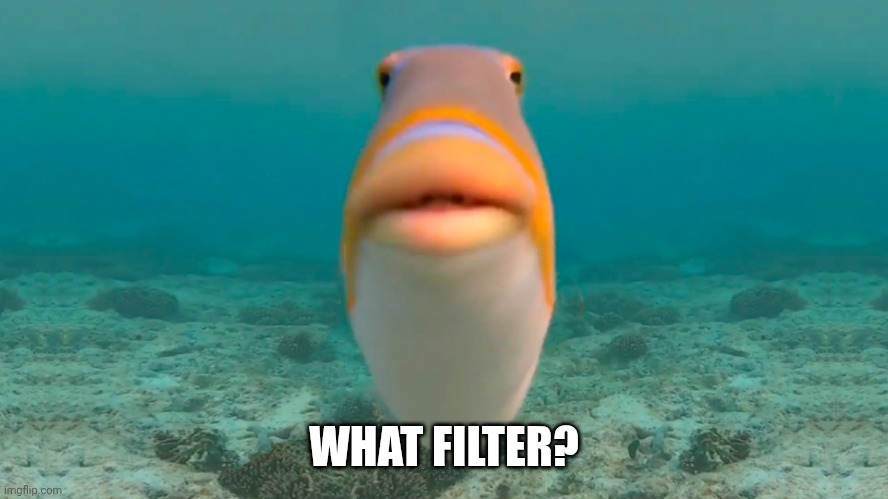 Filters are lies | WHAT FILTER? | image tagged in artificial | made w/ Imgflip meme maker