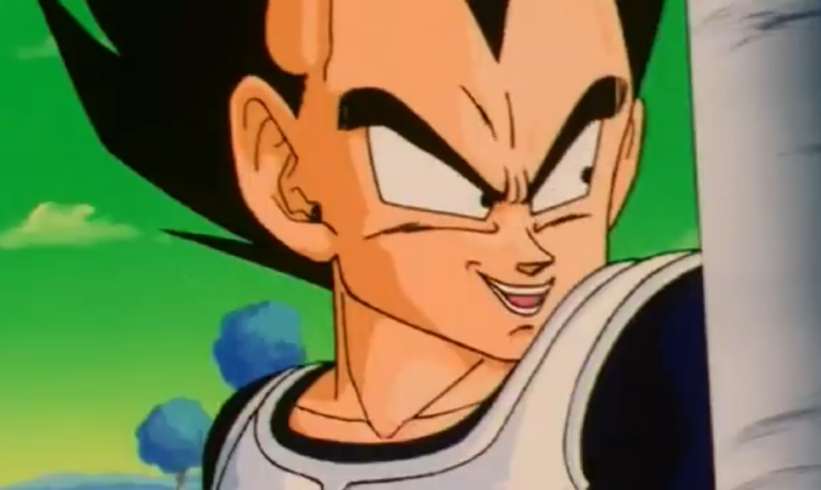 Amazing Vegeta Blank Meme Template