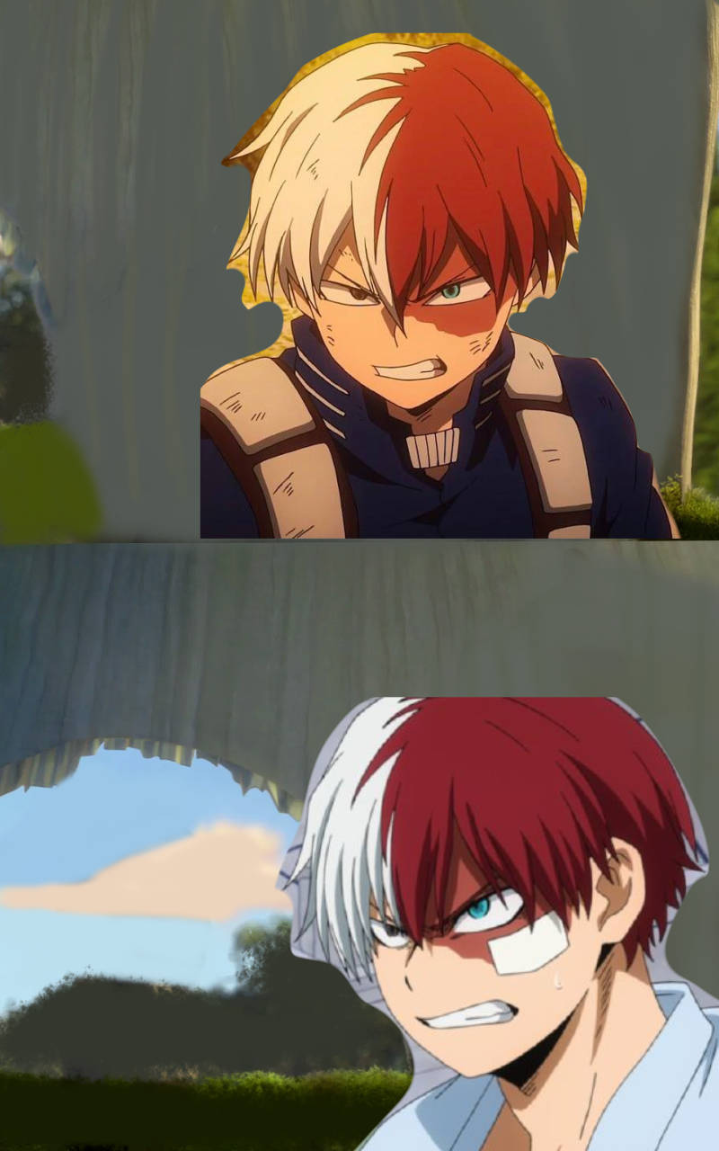 shoto tells who to back off Blank Meme Template