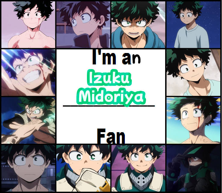 i'm a deku fan Blank Meme Template