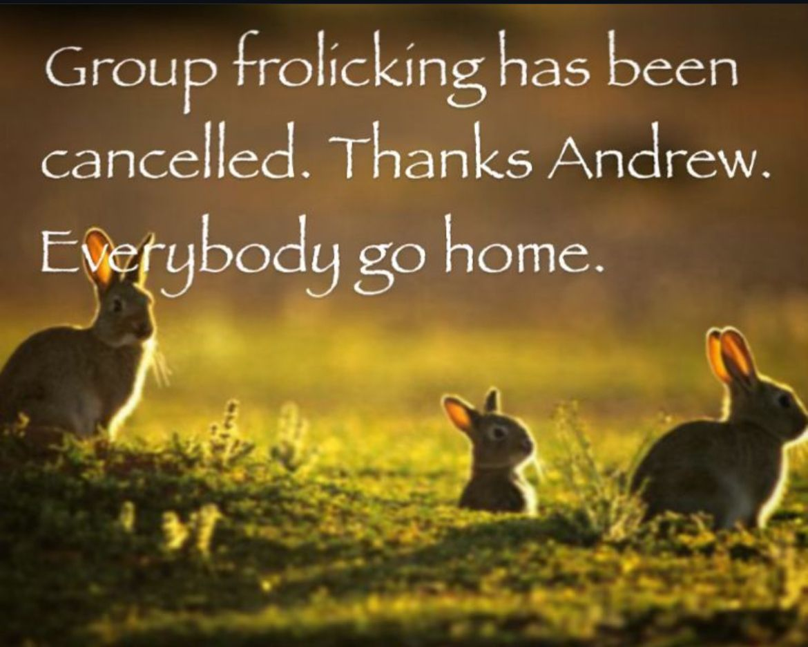 frolicking cancelled Blank Meme Template