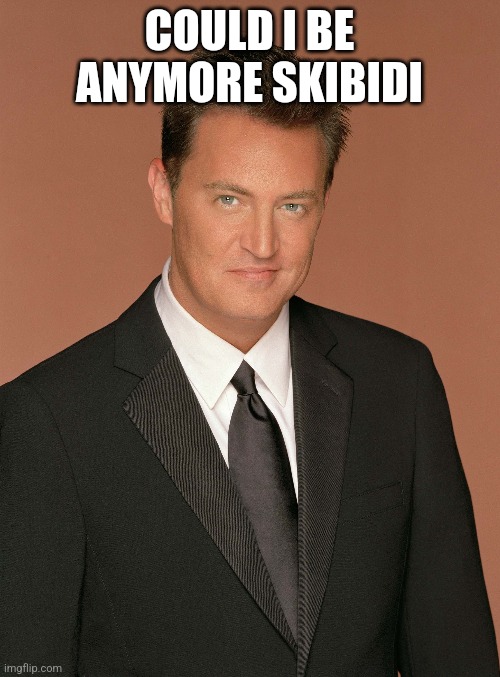 Chandler bing | COULD I BE ANYMORE SKIBIDI | image tagged in goofy,friends | made w/ Imgflip meme maker