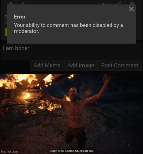 The reason I'm banned was by the other person who doesn't use this website anymore, there's no point keeping me banned | image tagged in release me | made w/ Imgflip meme maker