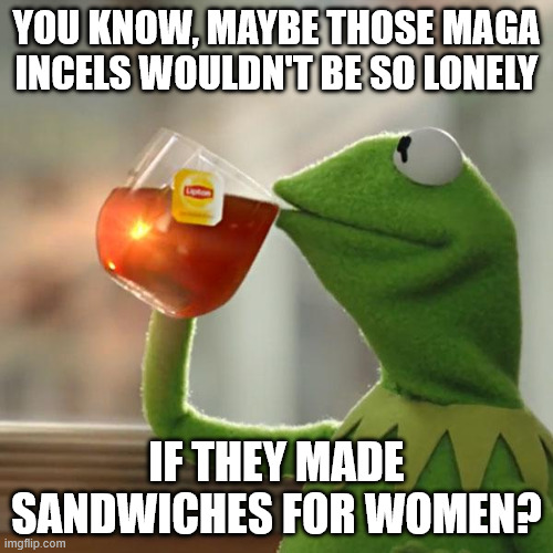 But That's None Of My Business | YOU KNOW, MAYBE THOSE MAGA INCELS WOULDN'T BE SO LONELY; IF THEY MADE SANDWICHES FOR WOMEN? | image tagged in memes,but that's none of my business,kermit the frog | made w/ Imgflip meme maker