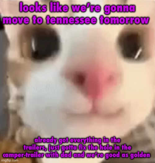 hai :3 | looks like we’re gonna move to tennessee tomorrow; already got everything in the trailers, just gotta fix the hole in the camper-trailer with dad and we’re good as golden | image tagged in hai 3 | made w/ Imgflip meme maker