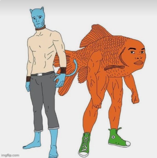 what the fuck am i looking at | made w/ Imgflip meme maker