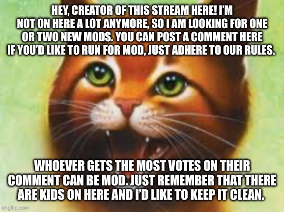 Please post/vote on the comments! Keep fighting, warriors! | HEY, CREATOR OF THIS STREAM HERE! I’M NOT ON HERE A LOT ANYMORE, SO I AM LOOKING FOR ONE OR TWO NEW MODS. YOU CAN POST A COMMENT HERE IF YOU’D LIKE TO RUN FOR MOD, JUST ADHERE TO OUR RULES. WHOEVER GETS THE MOST VOTES ON THEIR COMMENT CAN BE MOD. JUST REMEMBER THAT THERE ARE KIDS ON HERE AND I’D LIKE TO KEEP IT CLEAN. | image tagged in warrior cats firestar | made w/ Imgflip meme maker