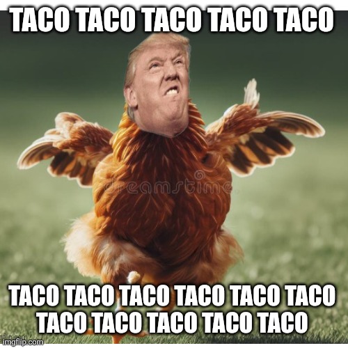 TACO TACO TACO TACO TACO TACO TACO TACO TACO TACO TACO 
TACO TACO TACO TACO TACO | made w/ Imgflip meme maker