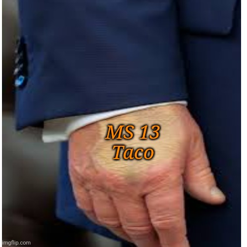MS 13
Taco | made w/ Imgflip meme maker