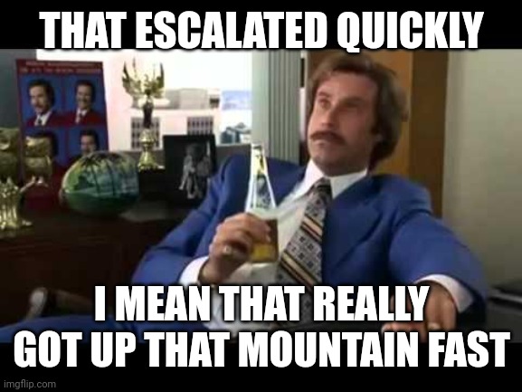 Well That Escalated Quickly Meme | THAT ESCALATED QUICKLY I MEAN THAT REALLY GOT UP THAT MOUNTAIN FAST | image tagged in memes,well that escalated quickly | made w/ Imgflip meme maker
