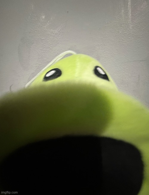 Peashooter Plush | image tagged in pvz,plants vs zombies,plush,peashooter,pvz plush,funny | made w/ Imgflip meme maker