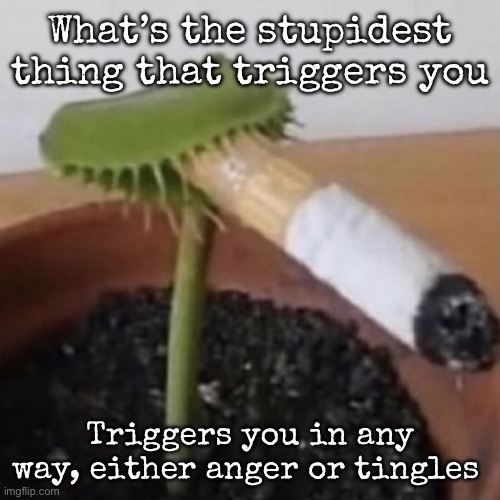 plant weeds | What’s the stupidest thing that triggers you; Triggers you in any way, either anger or tingles | image tagged in plant weeds,msmg | made w/ Imgflip meme maker