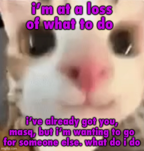 hai :3 | i’m at a loss of what to do; i’ve already got you, masq, but i’m wanting to go for someone else. what do i do | image tagged in hai 3 | made w/ Imgflip meme maker
