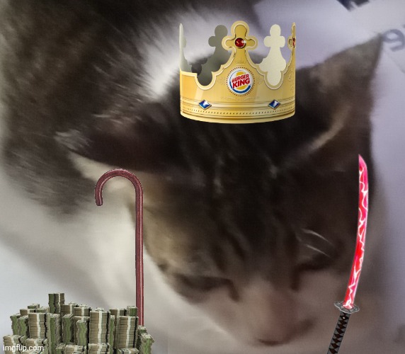 Mr katerilollus mingtoninburg | image tagged in ming mong | made w/ Imgflip meme maker