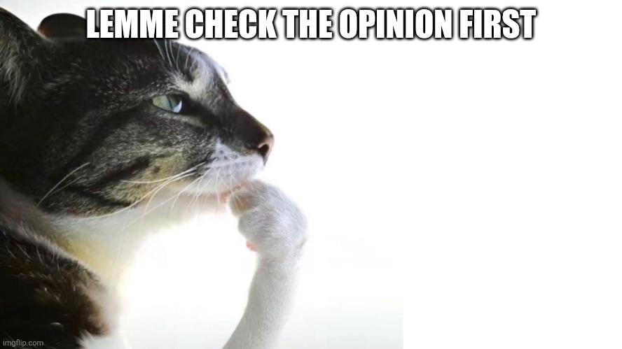 Thinker | LEMME CHECK THE OPINION FIRST | image tagged in thinker | made w/ Imgflip meme maker