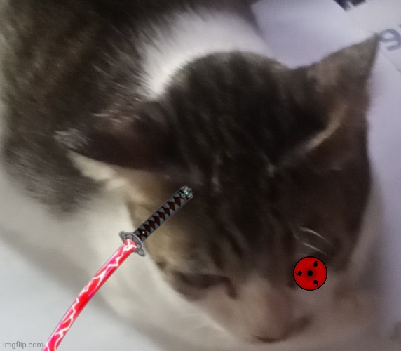 Ming mong | image tagged in ming mong | made w/ Imgflip meme maker