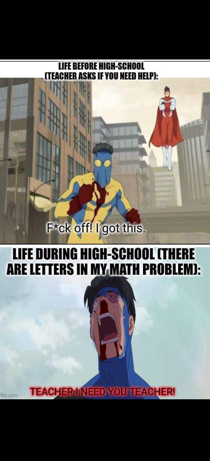 Vibcible high-school meme Blank Meme Template