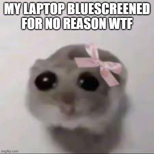 new bluescreen sucks ass i miss the ":(" | MY LAPTOP BLUESCREENED FOR NO REASON WTF | made w/ Imgflip meme maker